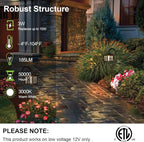 hykolity Low-Voltage Outdoor Integrated LED Landscape Lighting, 3W 185LM - Image 2