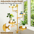 Rotating Window Plant Shelves - Image 2