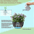 Set of 4-8 Inch Self Watering Hanging Planters - Image 9