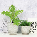 8 Inch + 6 Inch Retro Ceramic Planter Set of 2 - Image 4