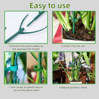 5 Pack Adjustable Plant Support Stakes, Stackable Plant Support Pole - Image 7