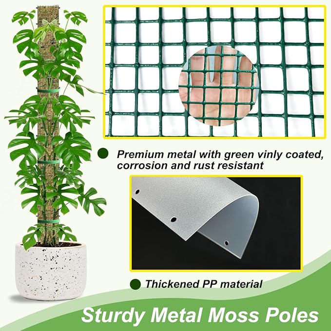 60"/40"/24" Metal Moss Pole, D Shape Sphagnum Moss Pole, Moss Poles - Image 5