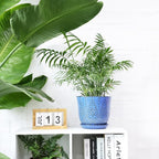 Gepege 8 Inch Plant Pot for Indoor Plants, Ceramic Planter - Image 4