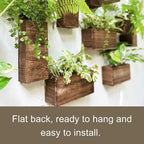 LaLaGreen Wood Planter Box for Plants Wooden Hanging Wall Planters for Indoor - Image 6