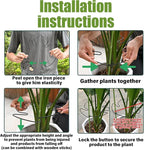 5PCS Monstera Plant Stem Support - Image 2