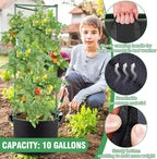 ANPHSIN 3 Sets Tomato Cages - Image 3