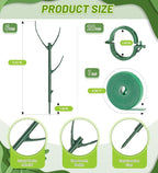 Plant Support Stakes, 1 Roll Tie - Image 3