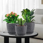 Large Flower Pots 12/10/9 inch, Plant Pots - Image 7