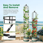 6.2ft Garden Obelisk Trellis for Climbing Plants Rustproof Metal Pipe - Image 3