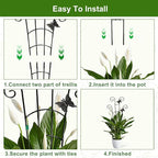 COOMIN 30'' Monstera Plant Support Outdoor, Metal Expandable Plant Supports - Image 5