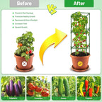 Legigo 4 Pack Square Tomato Cages - Image 3