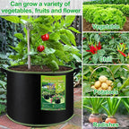 NACHLYNN 5-Pack 5 Gallon Grow Bags Heavy Duty Aeration Fabric Pots - Image 7