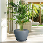 Ceramic Pot for Plants - Image 5