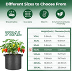 T4U Fabric Plant Grow Bags - Image 2