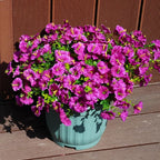 Artificial Flowers for Outdoors, UV Resistant Fake Silk Morning Glory, - Image 6