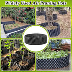 60 Gallon Air Pruning Container, Raised Garden Bed New Plastic Nursery Pot - Image 2