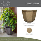 Classic Home and Garden Shaina Planting Pots - Image 2