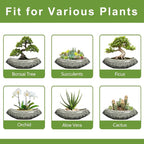 Bonsai Pots 18 Inch - Image 7