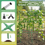 2 Pack Cucumber Trellis, A-Frame Vegetable Trellis - Image 2