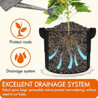 Gardzen 6-Pack 20 Gallon Grow Bags, Aeration Fabric Pots - Image 4