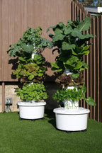 GX Hydroponic Tower | Vertical Planter Tower | Hydroponics Growing System Kit | - Image 3