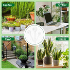 20 PCS Clear Plant Watering Globes, Plastic Self-Watering Bulbs, Self Watering - Image 6