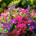 Artificial Flowers for Outdoor, UV Resistant Fake Silk Flowers, Realistic Faux - Image 6