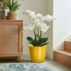 12 Inch Plant Pot - Image 5