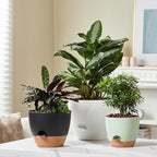 FaithLand 3-Pack Large Planter Pots, 12 10 9 Inch Self Watering Flower Pots - Image 7