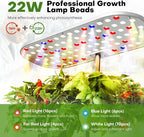 Ahopegarden Hydroponics Growing System Kit Indoor Herb Garden - Image 2