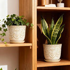 Gepege Beaded Ceramic Planter 6 Inch Set of 2 - Image 4