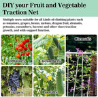 Sukh Garden Plant Trellis Netting -Trellis Net Polyester Trellis Netting Garden - Image 7
