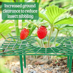 6 Sets Strawberry Plant Supports - Image 6
