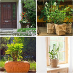 4 Pack Plant Support Tomato Cages - Image 7