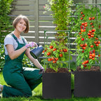ANPHSIN 3 Sets Tomato Cages - Image 6