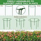 LEOBRO 24 Inch Plant Support Stakes, Peony Cages and Supports, Garden Stakes - Image 7