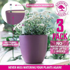GARDENIX DECOR Self Watering Pots - Image 6