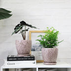 6 Inch Retro Ceramic Planter Set of 2 - Image 3