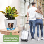 Large Self Watering Pots, 12/10/9 Plastic Planters - Image 6