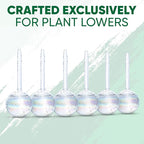 Clear Plant Watering Globes Set of 6 - Image 8