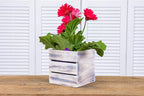 Wood Planter Box with Wine Crate Styled, 5 Inch Square, Plastic Liner, Garden - Image 4