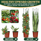 Round Heavy Duty Tomato Cage - Image 7