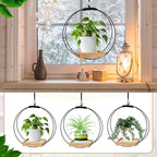 Geelin 2 Pack Plant Hanger - Image 3