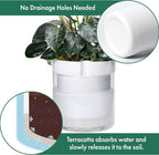Phoenix Vine 10 Inch Self Watering Planter - Image 5