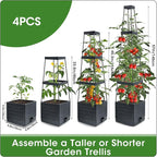 MQFORU Tomato Planter Boxes - Image 3