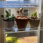 2 Pack 12 Inch Acrylic Window Boxes Plant Shelves, - Image 7