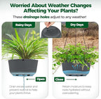 T4U 12 Inch Large Hanging Planters - Image 5