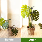 COOMIN 30'' Monstera Plant Support Outdoor, Metal Expandable Plant Supports - Image 4
