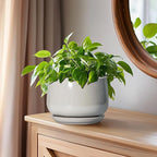 G EPGardening Ceramic Pots for Plants - Image 7