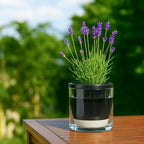 D'vine Dev 6 Inch Design Self Watering Planter - Image 7